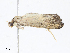  ( - CBG-A10818-C08)  @11 [ ] CreativeCommons - Attribution Share - Alike (2023) CBG Photography Group Centre for Biodiversity Genomics