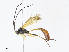  ( - CBG-A10818-E10)  @11 [ ] CreativeCommons - Attribution Share - Alike (2023) CBG Photography Group Centre for Biodiversity Genomics