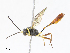  ( - CBG-A10819-A06)  @11 [ ] CreativeCommons - Attribution Share - Alike (2023) CBG Photography Group Centre for Biodiversity Genomics