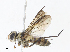  (Zelia Malaise0675 - CBG-A10819-B11)  @11 [ ] CreativeCommons - Attribution Share - Alike (2023) CBG Photography Group Centre for Biodiversity Genomics