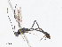  ( - CBG-A10820-A01)  @11 [ ] CreativeCommons - Attribution Share - Alike (2023) CBG Photography Group Centre for Biodiversity Genomics