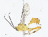  ( - CBG-A10820-A04)  @11 [ ] CreativeCommons - Attribution Share - Alike (2023) CBG Photography Group Centre for Biodiversity Genomics