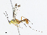  ( - CBG-A10820-B01)  @11 [ ] CreativeCommons - Attribution Share - Alike (2023) CBG Photography Group Centre for Biodiversity Genomics