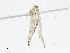 ( - CBG-A10820-C04)  @11 [ ] CreativeCommons - Attribution Share - Alike (2023) CBG Photography Group Centre for Biodiversity Genomics