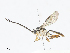  ( - CBG-A10820-D10)  @11 [ ] CreativeCommons - Attribution Share - Alike (2023) CBG Photography Group Centre for Biodiversity Genomics