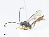  ( - CBG-A10820-E08)  @11 [ ] CreativeCommons - Attribution Share - Alike (2023) CBG Photography Group Centre for Biodiversity Genomics