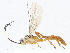  ( - CBG-A13193-C09)  @11 [ ] CreativeCommons - Attribution Share - Alike (2023) CBG Photography Group Centre for Biodiversity Genomics