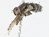  ( - CBG-A13193-E03)  @11 [ ] CreativeCommons - Attribution Share - Alike (2023) CBG Photography Group Centre for Biodiversity Genomics