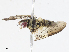  ( - CBG-A13193-E04)  @11 [ ] CreativeCommons - Attribution Share - Alike (2023) CBG Photography Group Centre for Biodiversity Genomics