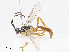  ( - CBG-A13194-E06)  @11 [ ] CreativeCommons - Attribution Share - Alike (2023) CBG Photography Group Centre for Biodiversity Genomics