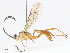  ( - CBG-A13194-E07)  @11 [ ] CreativeCommons - Attribution Share - Alike (2023) CBG Photography Group Centre for Biodiversity Genomics