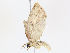  ( - CBG-A13196-G05)  @11 [ ] CreativeCommons - Attribution Share - Alike (2023) CBG Photography Group Centre for Biodiversity Genomics