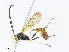  ( - CBG-A13197-B10)  @11 [ ] CreativeCommons - Attribution Share - Alike (2023) CBG Photography Group Centre for Biodiversity Genomics