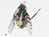  ( - CBG-A13197-D02)  @11 [ ] CreativeCommons - Attribution Share - Alike (2023) CBG Photography Group Centre for Biodiversity Genomics