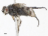  ( - CBG-A13197-D10)  @11 [ ] CreativeCommons - Attribution Share - Alike (2023) CBG Photography Group Centre for Biodiversity Genomics
