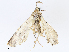  ( - CBG-A13197-F09)  @11 [ ] CreativeCommons - Attribution Share - Alike (2023) CBG Photography Group Centre for Biodiversity Genomics