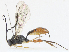  ( - CBG-A13198-B01)  @11 [ ] CreativeCommons - Attribution Share - Alike (2023) CBG Photography Group Centre for Biodiversity Genomics