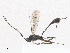  ( - CBG-A13198-B04)  @11 [ ] CreativeCommons - Attribution Share - Alike (2023) CBG Photography Group Centre for Biodiversity Genomics