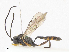  ( - CBG-A13198-B07)  @11 [ ] CreativeCommons - Attribution Share - Alike (2023) CBG Photography Group Centre for Biodiversity Genomics