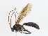  ( - CBG-A13199-D01)  @11 [ ] CreativeCommons - Attribution Share - Alike (2023) CBG Photography Group Centre for Biodiversity Genomics