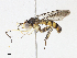  ( - CBG-A13199-F09)  @11 [ ] CreativeCommons - Attribution Share - Alike (2023) CBG Photography Group Centre for Biodiversity Genomics