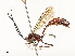  ( - CBG-A51984-E07)  @11 [ ] CreativeCommons - Attribution Share - Alike (2024) CBG Photography Group Centre for Biodiversity Genomics