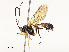  ( - CBG-A51984-F05)  @11 [ ] CreativeCommons - Attribution Share - Alike (2024) CBG Photography Group Centre for Biodiversity Genomics