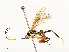  ( - CBG-A51984-F08)  @11 [ ] CreativeCommons - Attribution Share - Alike (2024) CBG Photography Group Centre for Biodiversity Genomics