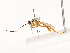  ( - CBG-A51984-F10)  @11 [ ] CreativeCommons - Attribution Share - Alike (2024) CBG Photography Group Centre for Biodiversity Genomics