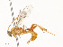 ( - CBG-A51984-F11)  @11 [ ] CreativeCommons - Attribution Share - Alike (2024) CBG Photography Group Centre for Biodiversity Genomics