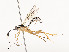  ( - CBG-A51984-G01)  @11 [ ] CreativeCommons - Attribution Share - Alike (2024) CBG Photography Group Centre for Biodiversity Genomics