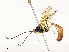  ( - CBG-A51984-G07)  @11 [ ] CreativeCommons - Attribution Share - Alike (2024) CBG Photography Group Centre for Biodiversity Genomics