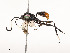  ( - CBG-A51984-H02)  @11 [ ] CreativeCommons - Attribution Share - Alike (2024) CBG Photography Group Centre for Biodiversity Genomics