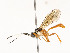  ( - CBG-A51984-H07)  @11 [ ] CreativeCommons - Attribution Share - Alike (2024) CBG Photography Group Centre for Biodiversity Genomics