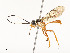  ( - CBG-A51984-H08)  @11 [ ] CreativeCommons - Attribution Share - Alike (2024) CBG Photography Group Centre for Biodiversity Genomics