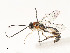  ( - CBG-A51984-H09)  @11 [ ] CreativeCommons - Attribution Share - Alike (2024) CBG Photography Group Centre for Biodiversity Genomics