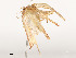  ( - CBG-A54425-A10)  @11 [ ] CreativeCommons - Attribution Share - Alike (2024) CBG Photography Group Centre for Biodiversity Genomics