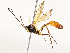  ( - CBG-A54425-G12)  @11 [ ] CreativeCommons - Attribution Share - Alike (2024) CBG Photography Group Centre for Biodiversity Genomics