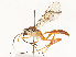  ( - CBG-A54427-E04)  @11 [ ] CreativeCommons - Attribution Share - Alike (2024) CBG Photography Group Centre for Biodiversity Genomics