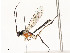  ( - CBG-A54427-E12)  @11 [ ] CreativeCommons - Attribution Share - Alike (2024) CBG Photography Group Centre for Biodiversity Genomics