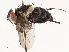  ( - CBG-A54427-H05)  @11 [ ] CreativeCommons - Attribution Share - Alike (2024) CBG Photography Group Centre for Biodiversity Genomics