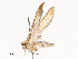  ( - CBG-A54428-E02)  @11 [ ] CreativeCommons - Attribution Share - Alike (2024) CBG Photography Group Centre for Biodiversity Genomics