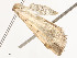  ( - CBG-A54428-H01)  @11 [ ] CreativeCommons - Attribution Share - Alike (2024) CBG Photography Group Centre for Biodiversity Genomics