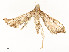  ( - CBG-A54434-C08)  @11 [ ] CreativeCommons - Attribution Share - Alike (2024) CBG Photography Group Centre for Biodiversity Genomics