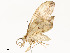  ( - CBG-A54434-E01)  @11 [ ] CreativeCommons - Attribution Share - Alike (2024) CBG Photography Group Centre for Biodiversity Genomics