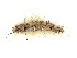 ( - CBG-A54434-H05)  @11 [ ] CreativeCommons - Attribution (2024) CBG Photography Group Centre for Biodiversity Genomics