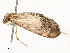  ( - CBG-A54435-F11)  @11 [ ] CreativeCommons - Attribution Share - Alike (2024) CBG Photography Group Centre for Biodiversity Genomics