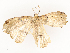  ( - CBG-A54435-H01)  @11 [ ] CreativeCommons - Attribution Share - Alike (2024) CBG Photography Group Centre for Biodiversity Genomics
