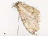  ( - CBG-A36879-B07)  @11 [ ] CreativeCommons - Attribution Share - Alike (2024) CBG Photography Group Centre for Biodiversity Genomics