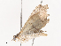  ( - CBG-A36879-E10)  @11 [ ] CreativeCommons - Attribution Share - Alike (2024) CBG Photography Group Centre for Biodiversity Genomics